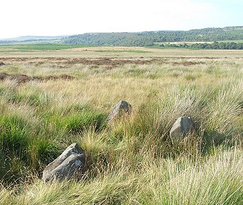 Looking northwest across the stones
