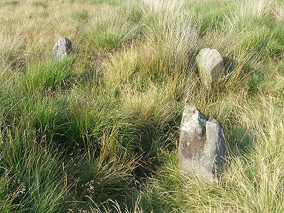 The three remaining stones of the four poster 