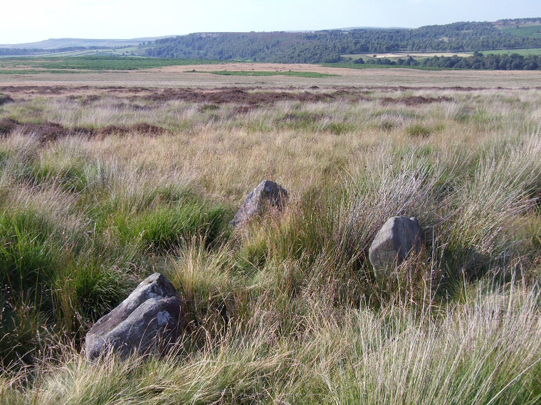 Looking northwest across the Gibbet Moor four-poster stone circle