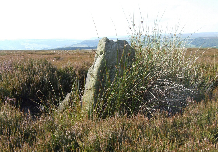 Gibbet Moor standing stones - Looking northwest at the larger stone