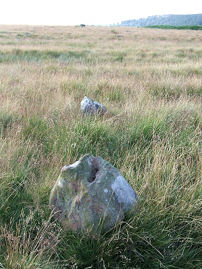 Gibbet Moor stone alignment