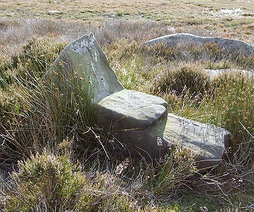 Gibbet Moor natural boulder