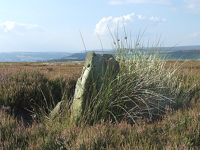 Gibbet Moor standing stones - Looking northwest at the larger stone