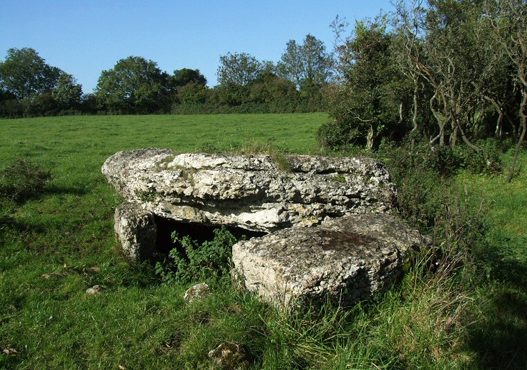 Glyn chambered tomb - front view.
