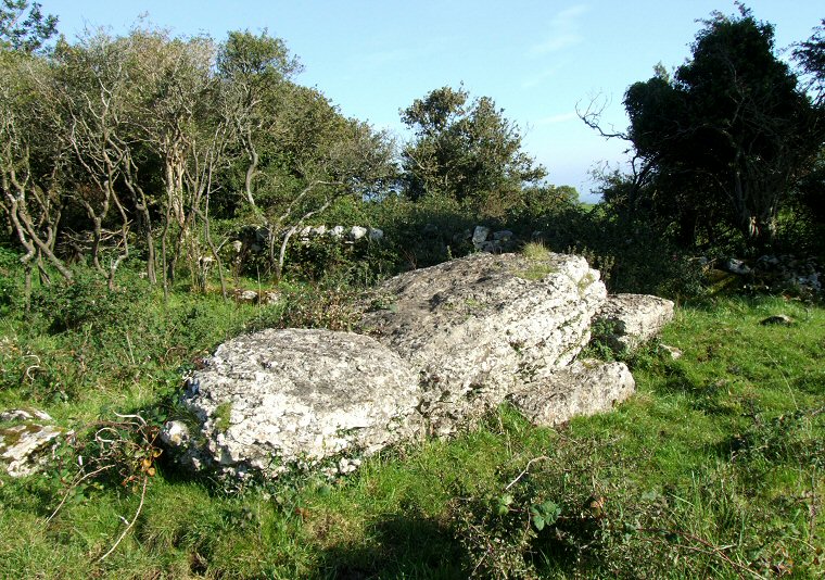 Glyn chambered tomb - side and rear view