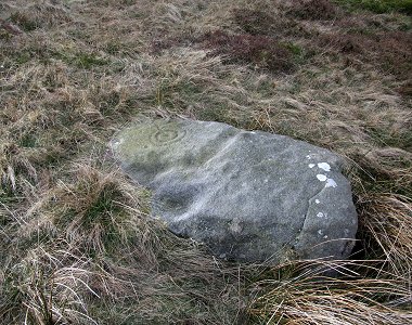 Green Gates Stone 257