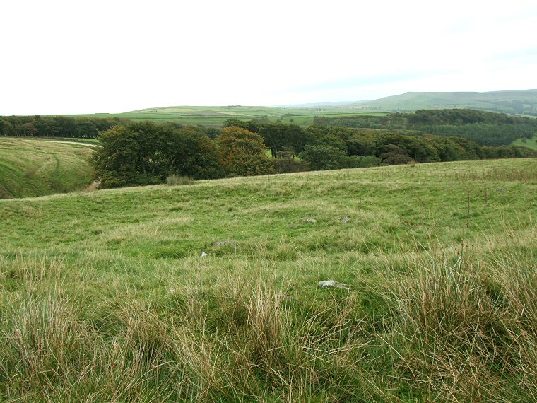 Green Low ring cairn