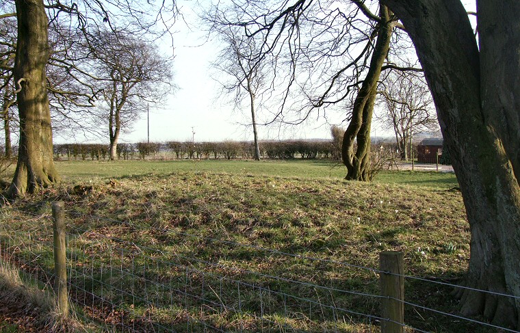 Round barrow in the grounds of Greenwick Cottage