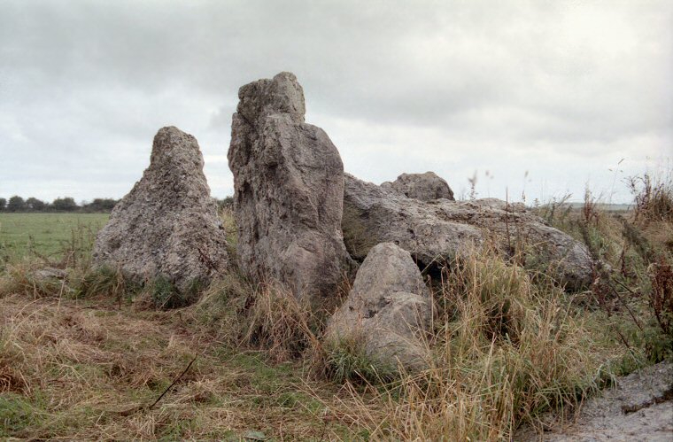 Grey Mare And Her Colts - Chambered Long Barrow