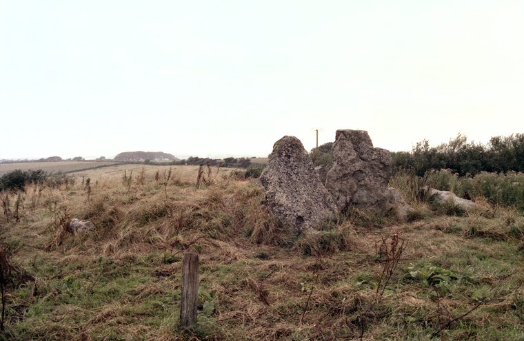 Grey Mare And Her Colts - Chambered Long Barrow