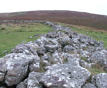 Part of Grimspound wall