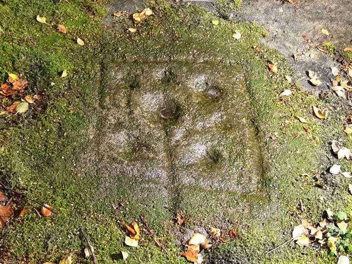 Guisecliff Wood rock carving