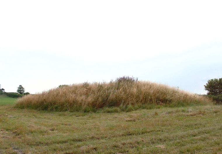 Hagworthingham Round Barrow