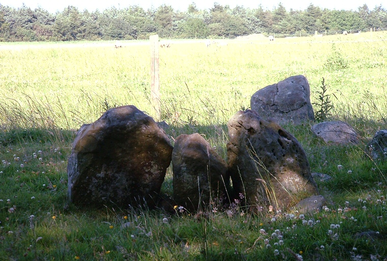 Harwood Dale Cist