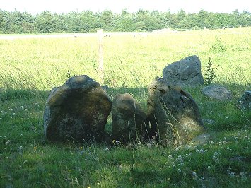 Harwood Dale Cist