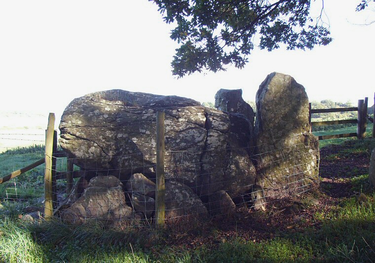 Hendre Waelod - capstone, portals and smaller slabs at the side of the chamber