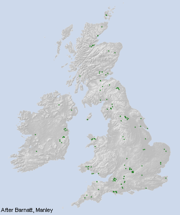 Henge Map