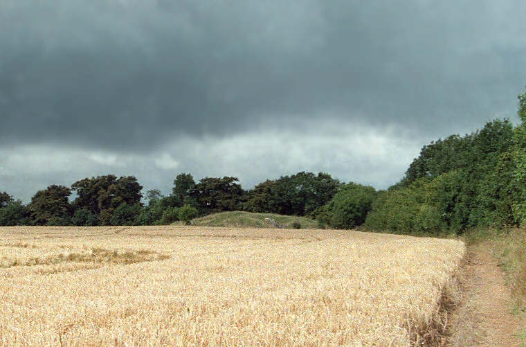 Hetty Pegler's Tump - Long View