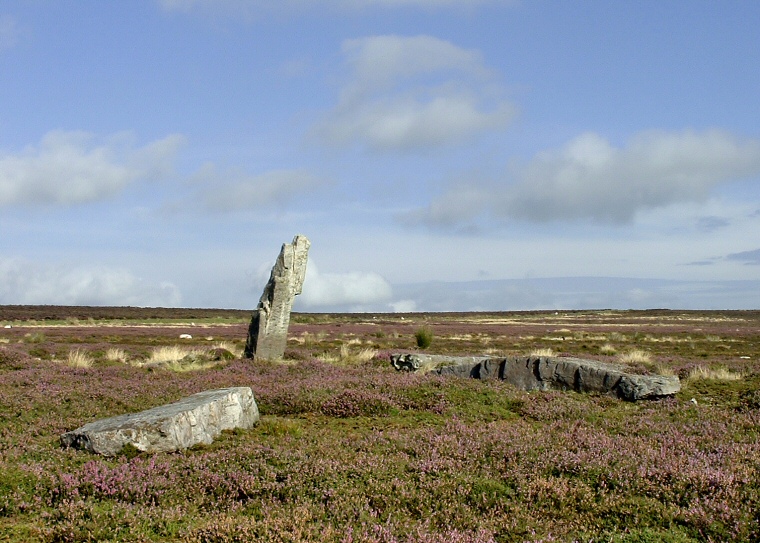 The eastern setting of the High Bridestones with three fallen stones in front of the remaining upright