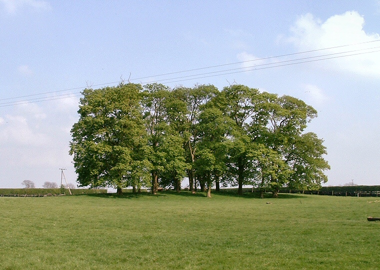 Hills Brough Barrow