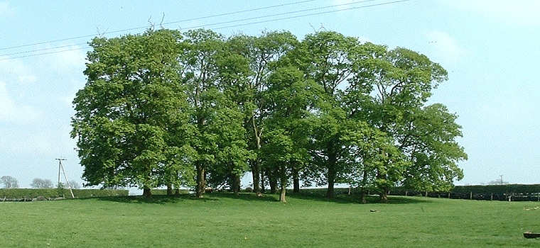 Hills Brough Barrow