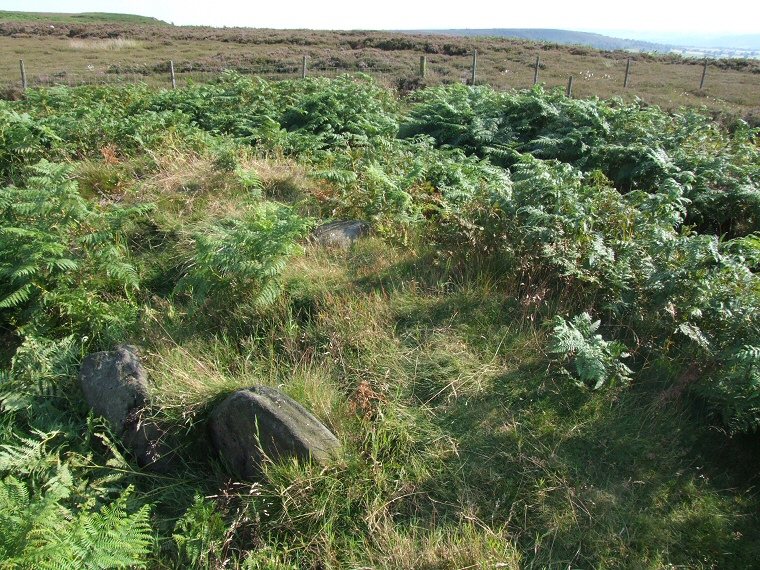 Hob Hurst's House, stones of the cist