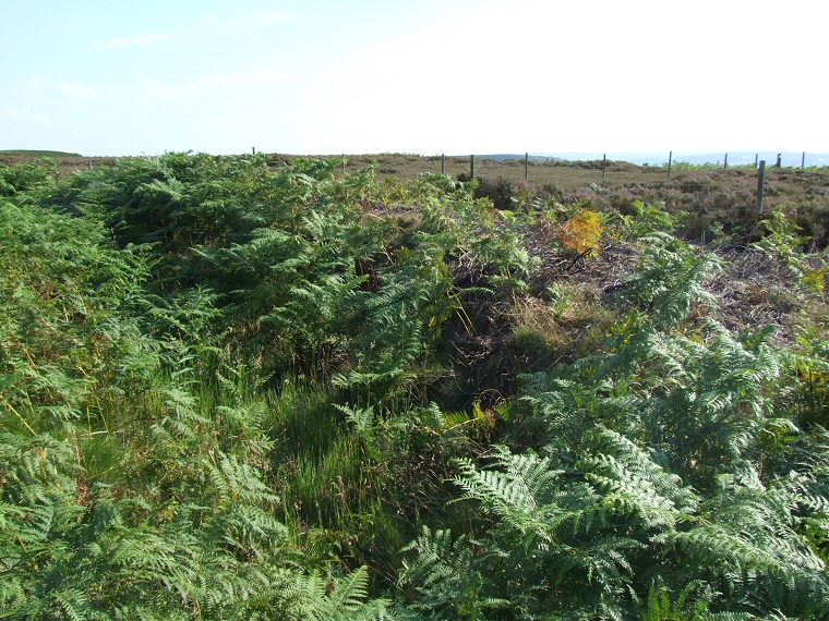 Hob Hurst's House, bank and ditch