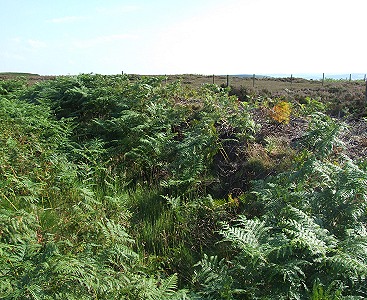 Hob Hurst's House, bank and ditch