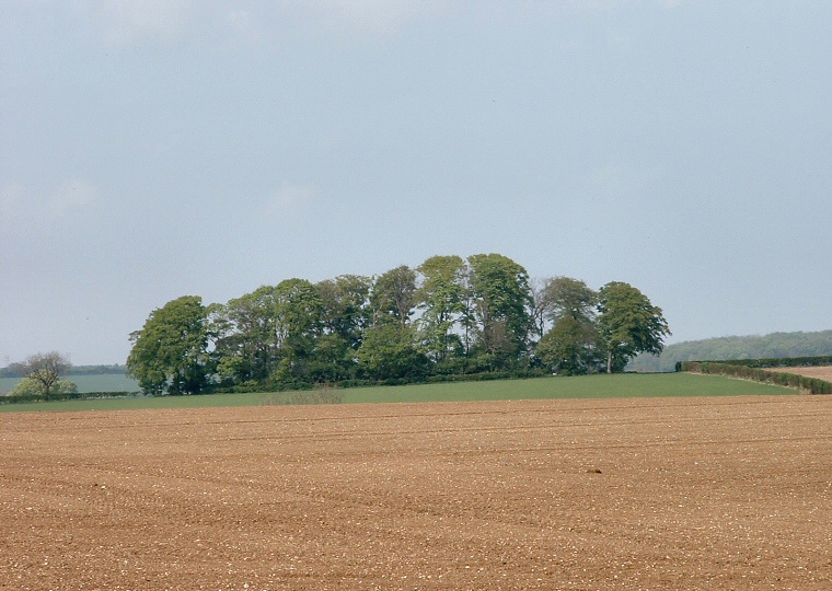 Hoe Hill - View from a distance