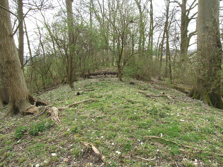 Hoe Hill looking down the spine of the barrow