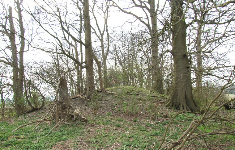 Hoe Hill - Eastern Terminal