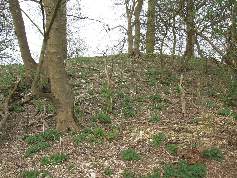Hoe Hill - Side view
