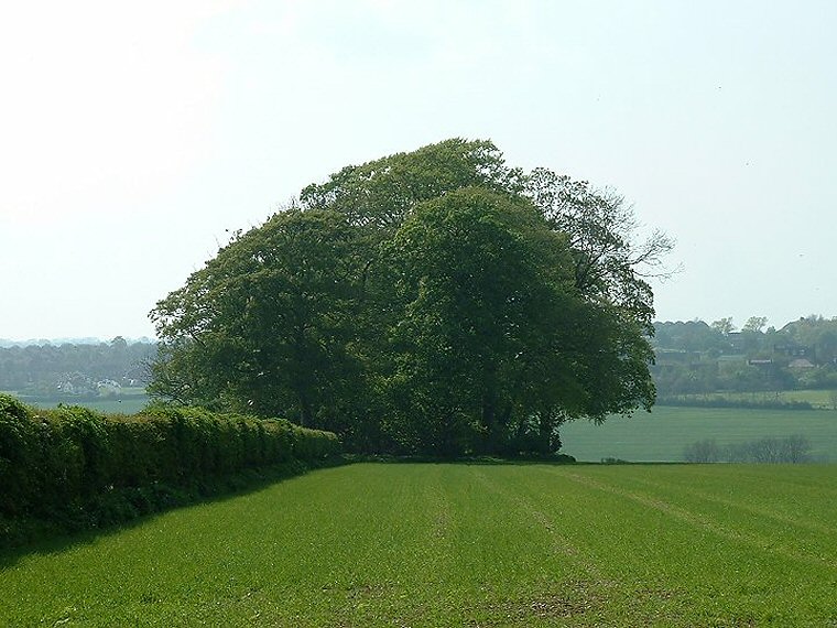 Hoe Hill - View from the road