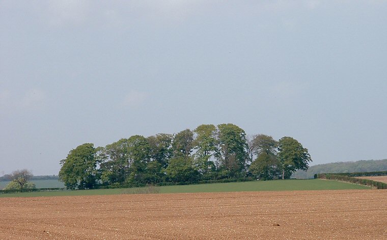 Hoe Hill - View from a distance