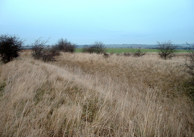 Honington Camp - Eastern banks and ditches