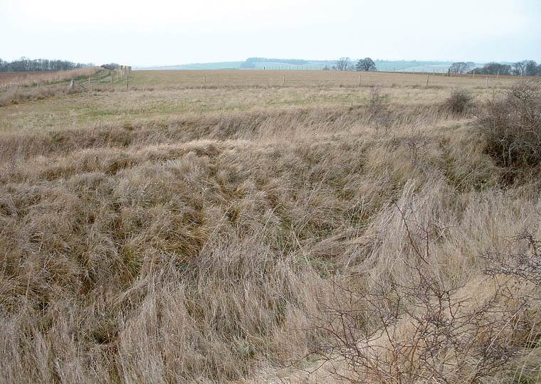 Honington Camp - Western banks and ditches