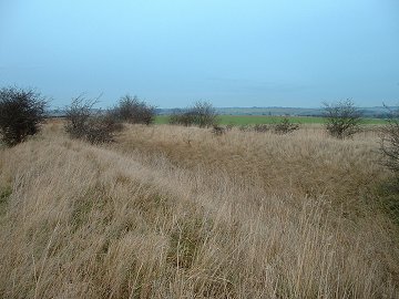 Honington Camp - Eastern banks and ditches