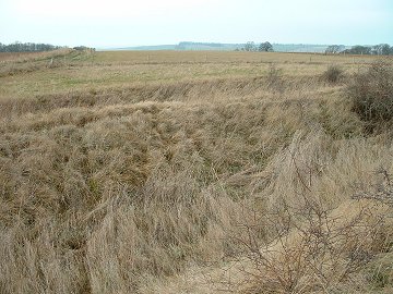 Honington Camp - Western banks and ditches