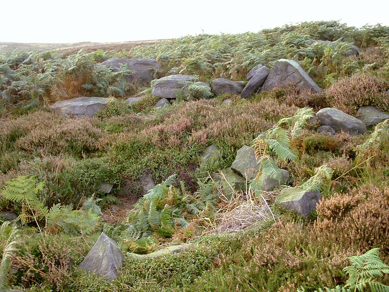 An arc of stones forming part of Horncliffe Circle