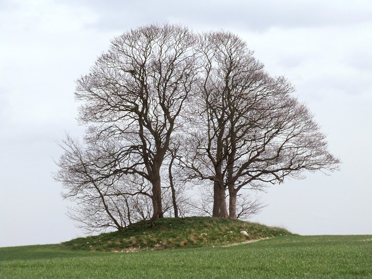 Howe Hill ROund Barrow