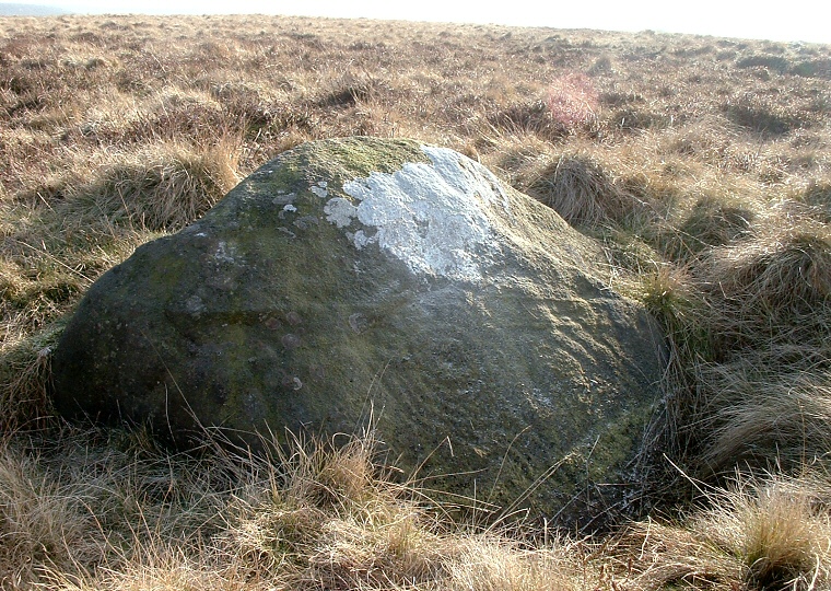 Carved Stone PRAWR 252