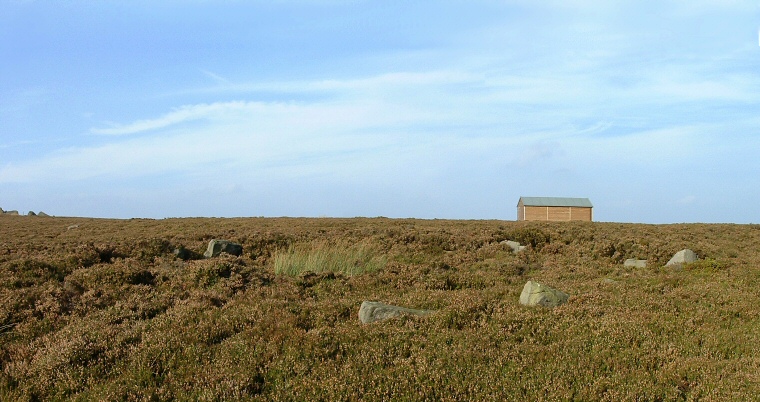 Looking northeast over the Grubstones