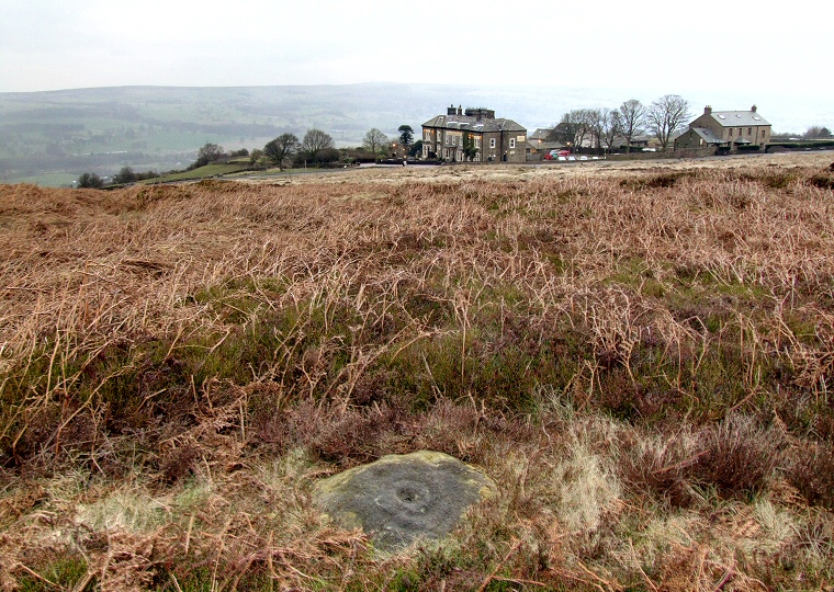 Cup and double ring marked rock above the Cow and Calf Hotel