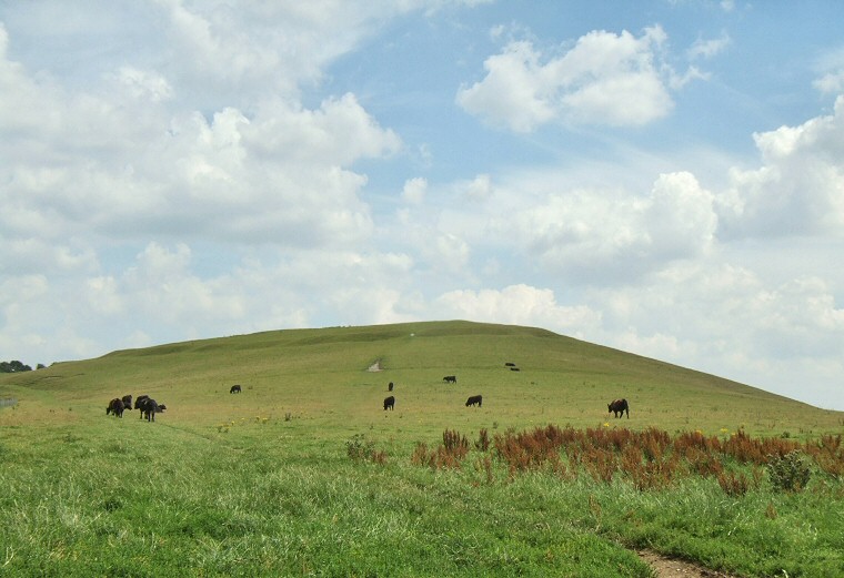 View of the causewayed enclosure on Knap Hill looking east