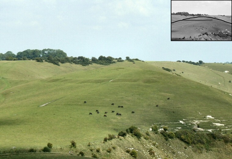View of Knap Hill from Adam's Grave long barrow