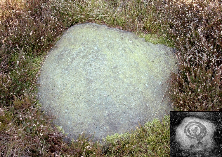 Knotties Stone