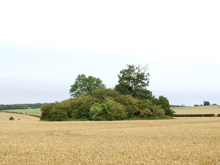 Knowlton Henge - Great Barrow