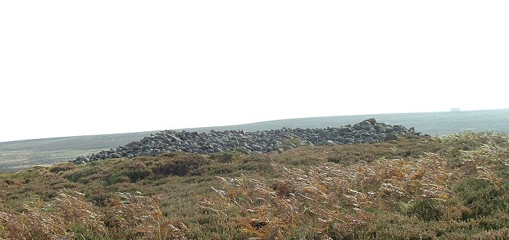 Little Skirtful of Stones