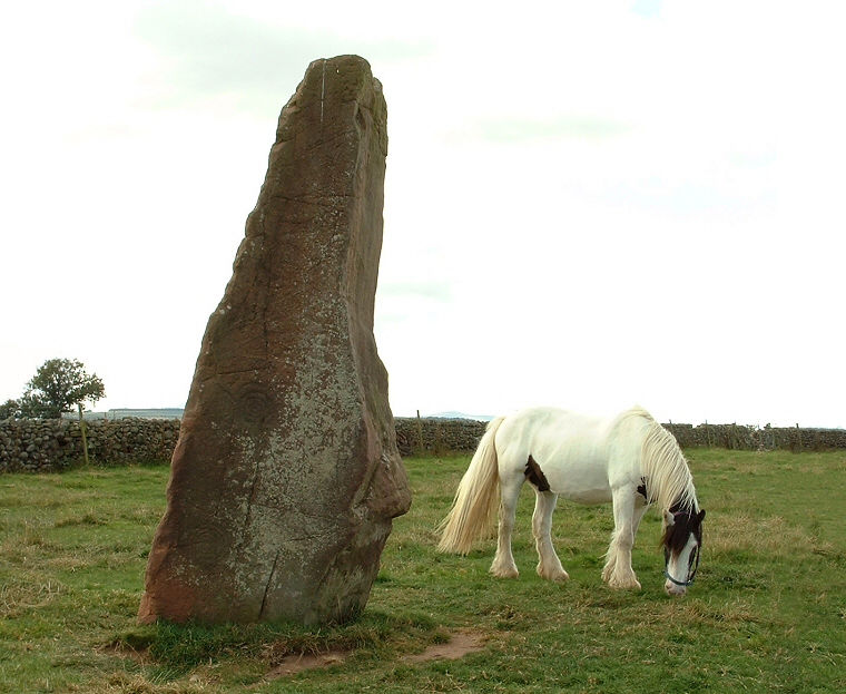 Long Meg - view of the inner face and carvings