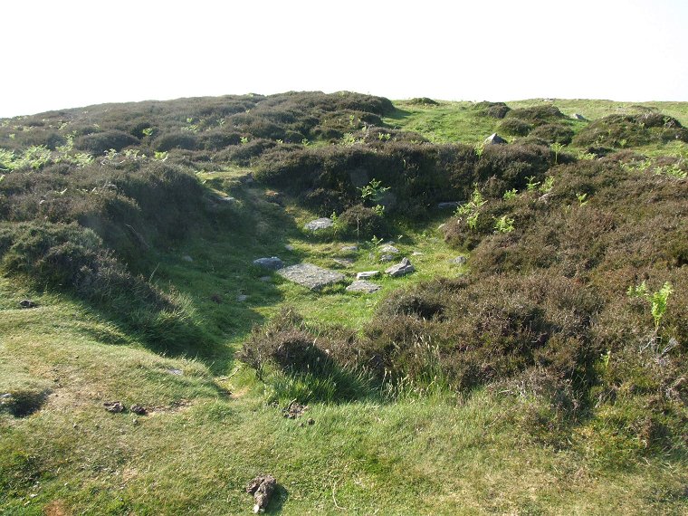 Hut remains at Lordenshaw Hillfort